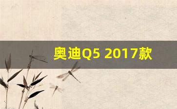 奥迪Q5 2017款,起亚智跑